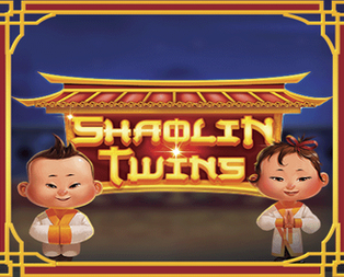 Shaolin Twins
