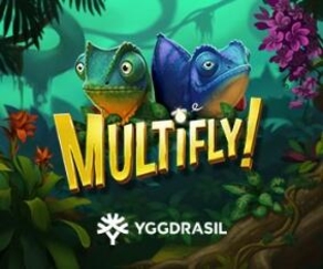 MultiFly!™