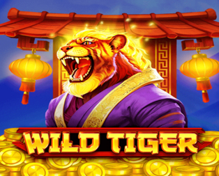 Wild Tiger