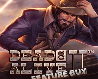Dead or Alive 2 Feature Buy
