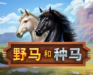 Mustang and Stallions