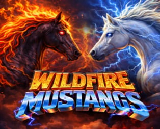 
                            Wildfire Mustangs