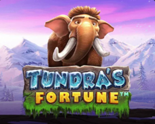 Tundra's Fortune