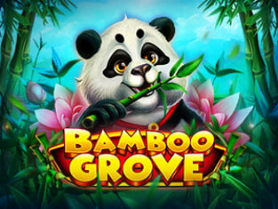 Bamboo Grove