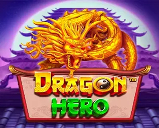 Dragon Hero