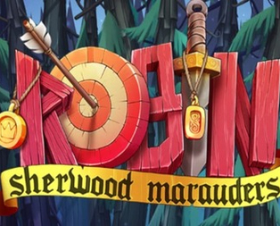 Robin - Sherwood Marauders