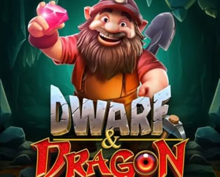 Dwarf & Dragon
