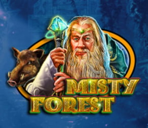 
                            Misty Forest