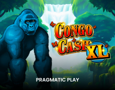 Congo Cash XL