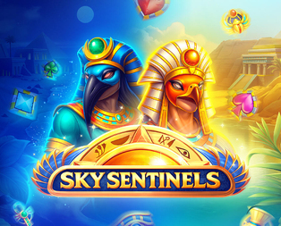 Sky Sentinels