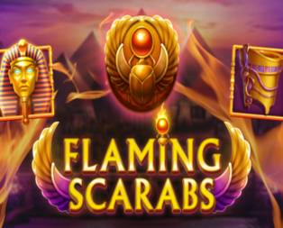 
                            Flaming Scarabs