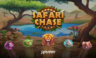 Safari Chase