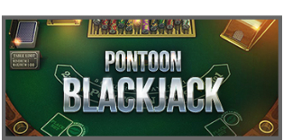 Pontoon 21