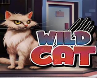 Wild Cat