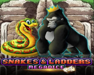 Snakes and Ladders Megadice