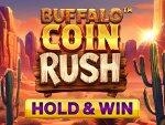 Buffalo Coin Rush - Hold & Win