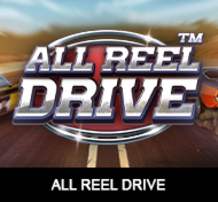 All Reel Drive