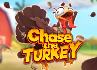 Chase the Turkey ™
