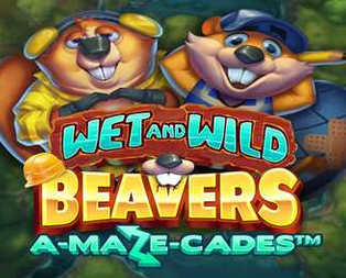 Wet and Wild Beavers