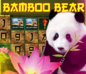 Bamboo Bear