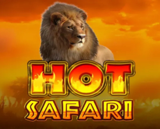 Hot Safari