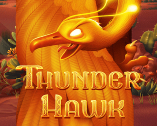 Thunderhawk