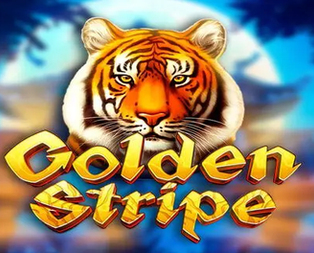 Golden Stripe