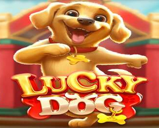 Lucky Dog