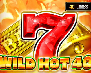 Wild Hot 40