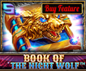 Book Of The Night Wolf