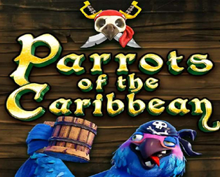 Parrots of Caribbean