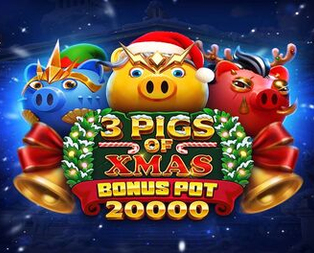 3 Pigs of Xmas