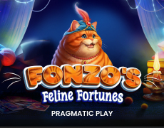 Fonzo’s Feline Fortunes