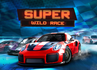 Super Wild Race ™