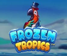 Frozen Tropics™