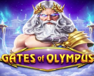 
                            Gates of Olympus™