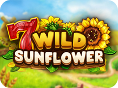 Wild Sunflower