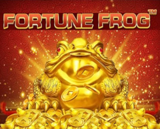 Fortune Frog