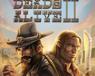 Dead or Alive 2