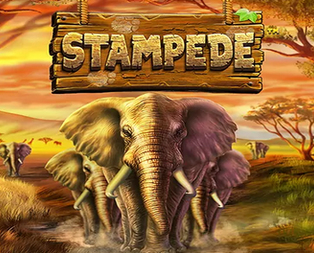 Stampede