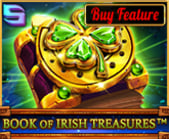 Book Of Irish Treasures