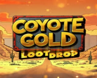 Coyote Gold
